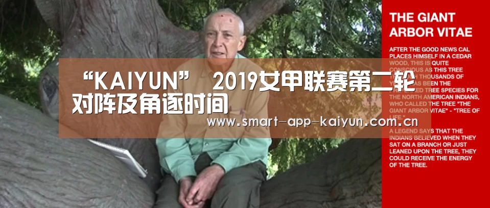开云体育官网