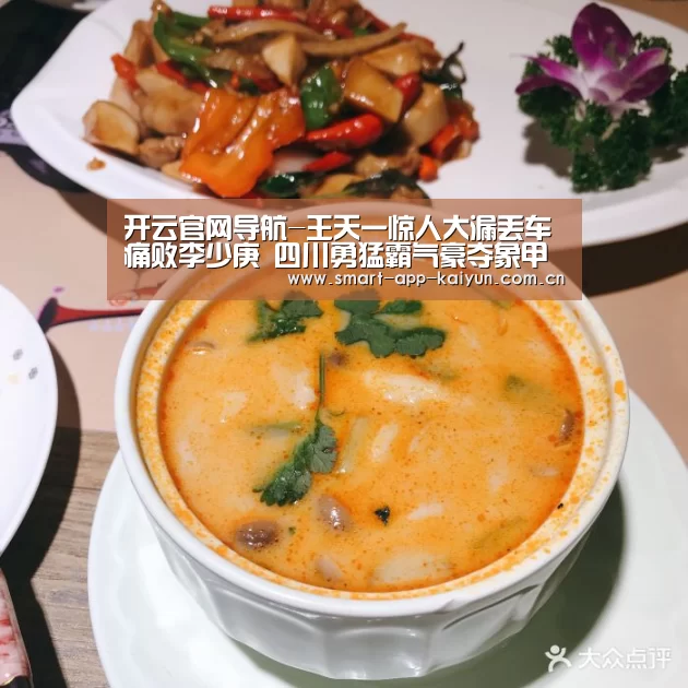 开云官网导航