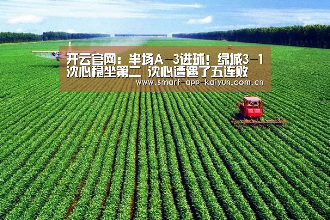 开云官网:半场A-3进球!绿城3-1沈心稳坐第二 沈心遭遇了五连败(图1) 开云官网:半场A-3进球!绿城3-1沈心稳坐第二 沈心遭遇了五连败(图1)