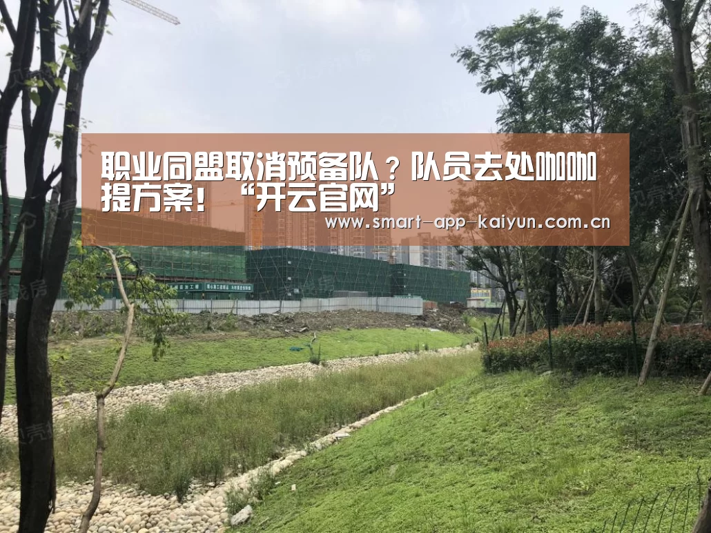 职业同盟取消预备队?队员去处咖咖提方案!“开云官网”(图1) 开云官网