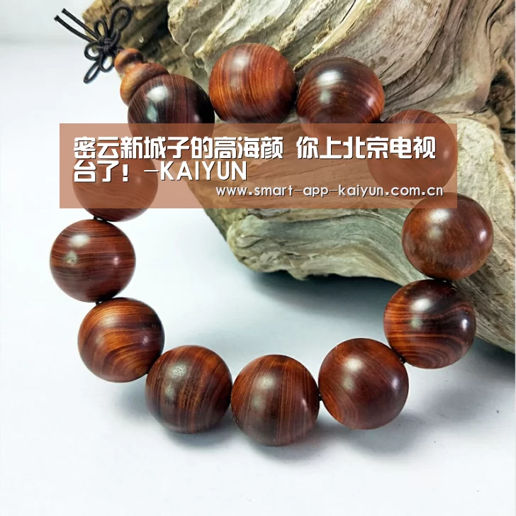 密云新城子的高海颜 你上北京电视台了!-KAIYUN(图2) 开云官网导航